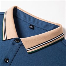 中年男士长袖t恤爸爸polo衫2023春秋季新款刺绣上衣纯棉男装，男装T恤，电商B212（原钱塘6029）