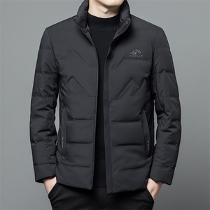 CAH2811钱塘2020-冬季厚款立领中年男士时尚休闲百搭羽绒服P195,179男生夏日穿搭图片