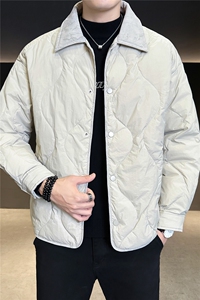 90新标2025冬季翻领简约休闲加厚保暖羽绒服外套X2519-P248图片