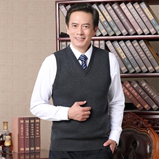 男士2023春季新款马甲背心V领针织衫中年休闲商务百搭坎肩男装，男装背心/马甲，电商B212（原钱塘6029）