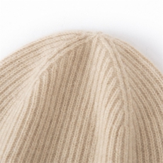 2025年春季新款百搭女士双股加厚保暖帽，帽子，窄众羊绒