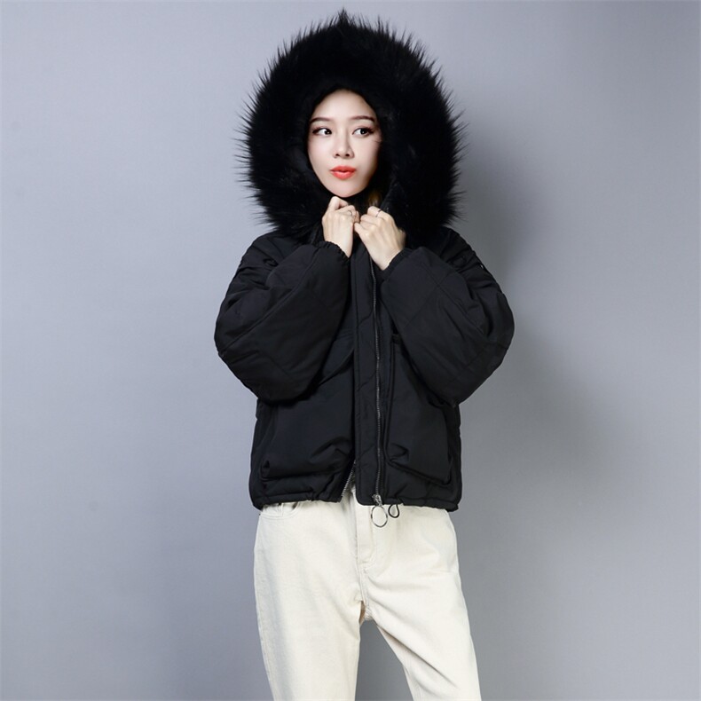 休闲时尚短款拉链连帽棉衣/棉服宽松2020年冬季修身显瘦,女装棉衣/棉服,小林双子