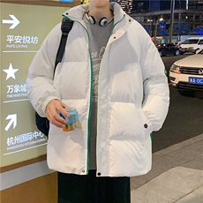 港风2025年冬季百搭简约立领盐系棉衣棉服XZ102A-4-M0671-P100，男装棉衣，星座211-2