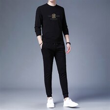 爸爸运动套装男士春秋季上衣中老年人休闲服中年卫衣超大码两件套，男装休闲套装，电商B212（原钱塘6029）