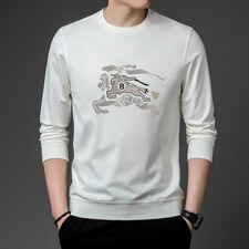 圆领男士卫衣春秋季新款商务休闲时尚中年款印花男士长袖上衣，男装卫衣，电商B212（原钱塘6029）