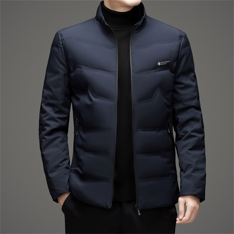 秋冬季立领羽绒服男士白鸭绒短款商务休闲户外保暖高级感外套男,男装羽绒服,钱塘6003（原4033）