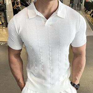 网图男士针织衫薄款透气翻领polo衫短袖  A9206-P55图片