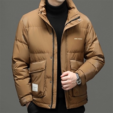 羽绒服男士冬季2023年新款立领加厚上衣中青年保暖御寒外套男装，男装羽绒服，电商B212（原钱塘6029）
