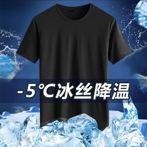 时尚休闲冰丝速干T恤2024年夏季短袖圆领图片