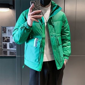 立领款白鸭绒新标50绒保暖休闲大口袋款 B226-9008-P195图片