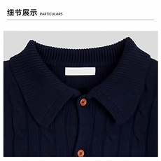 复古扭花麻花加厚开衫休闲针织衫秋冬季撞色翻领外套男士毛衣，男装针织衫/毛衣，星座506A