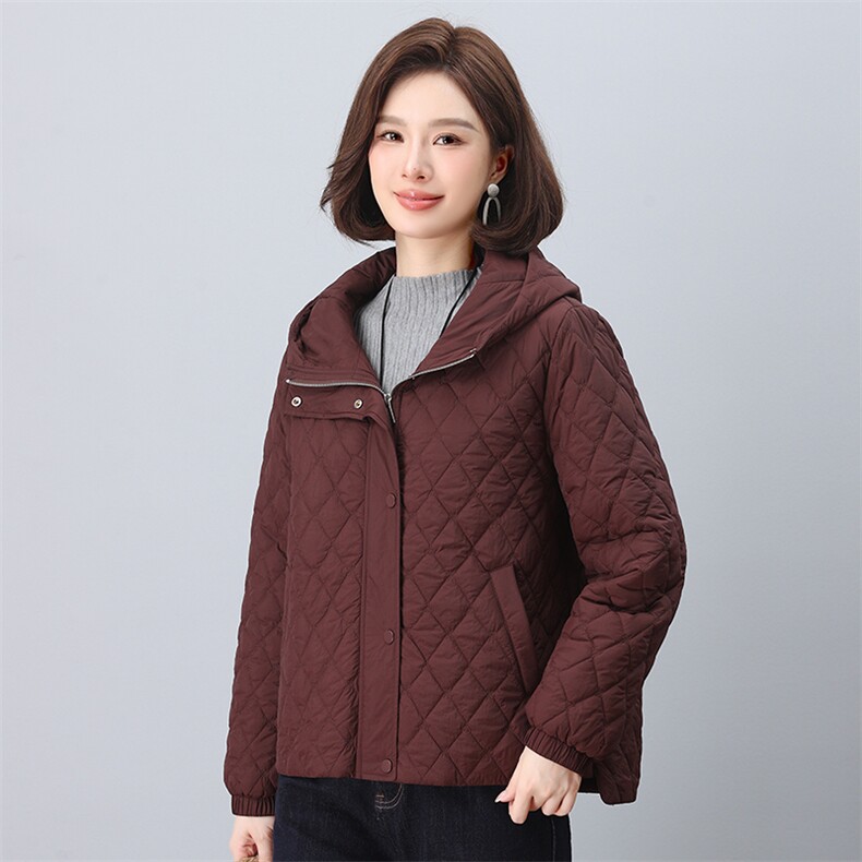 2024年冬季新款时尚休闲保暖连帽小棉服,女装棉衣/棉服,依恋蒂丝