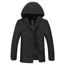 新款2023冬季羽绒服男装连帽白鸭绒外套中年爸爸装SFT81678-P295图片