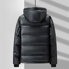 V3807钱塘2020-3冬季厚款时尚休闲新款中年男士85鸭绒羽绒服P283，男装羽绒服，钱塘207-3