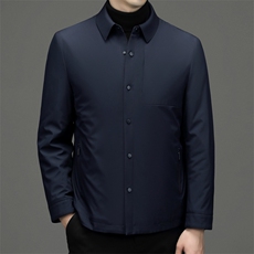 中年男士棉衣爸爸装棉服加厚保暖外套冬季新款商务休闲男装上衣，男装棉衣，电商B212（原钱塘6029）