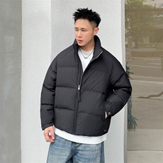2025冬季标90绒立领白鸭绒羽绒服大码跑量款301-p270，男装羽绒服，星座223（原229-2）