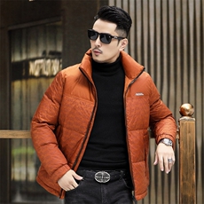 B8006钱塘2020-3新款时尚休闲冬季厚款简约中年男士羽绒服P245，男装羽绒服，钱塘207-3