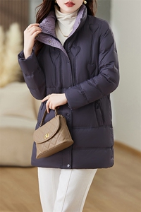 衣服2024新款时髦修身立领中长款羽绒服图片