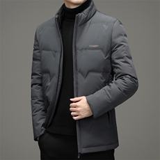 AN9873钱塘2020-3秋冬新款中年男士立领休闲百搭羽绒服外套P248，男装羽绒服，钱塘207-3