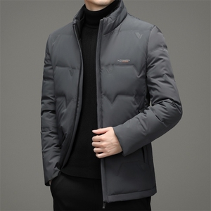 AN9873钱塘2020-3秋冬新款中年男士立领休闲百搭羽绒服外套P248图片