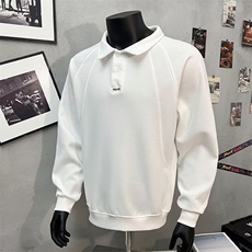 卫衣男春秋季2025新款宽松潮牌翻领衣服男款纯色百搭秋装运动上衣，男装卫衣，星座506A