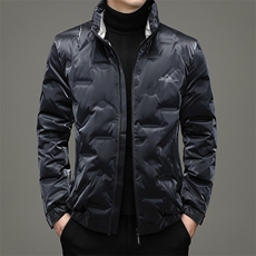 90%白鸭绒中年男士休闲立领羽绒服保暖羽绒开衫潮流男ZG2942-P195，男装羽绒服，电商B212（原钱塘6029）