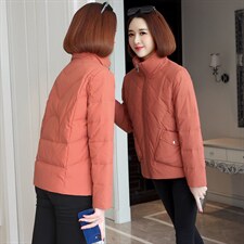 2022新款简约时尚立领棉服休闲百搭显瘦保暖外套，女装棉衣/棉服，婷思杰（原婷想服饰）