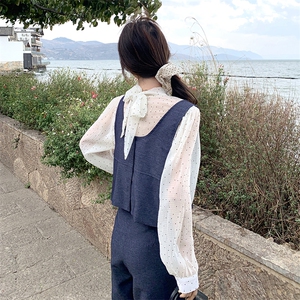 休闲减龄穿搭衬衫套装女初春秋超火好看高级小众背心阔腿裤三件套图片
