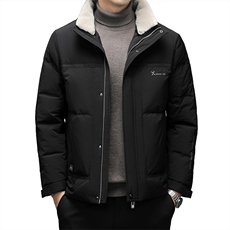 DF22607钱塘2020-2冬季厚款商务休闲立领中年男士羽绒服P260，男装羽绒服，钱塘207-2