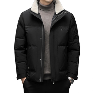 DF22607钱塘2020-2冬季厚款商务休闲立领中年男士羽绒服P260图片