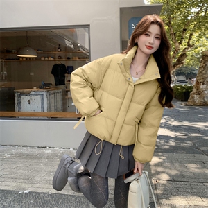 现货新款独特超好看短款羽绒服女款冬季立领面包服小个子羽绒外套图片