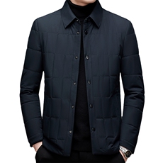 中年纯色棉衣加厚保暖冬季爸爸装外套翻领棉服上衣HM6623-P175，男装棉衣，电商B212（原钱塘6029）