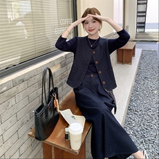 藏青色小香风马甲套装裙女2025秋季新款高级感打底衫半身裙三件套，女装套装/套裙，2C129