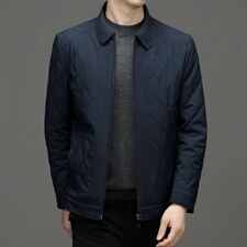 藏青