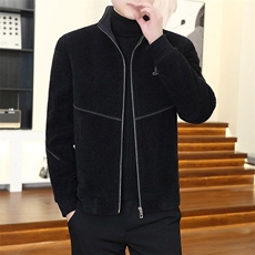 秋冬新款加厚金貂绒立领毛呢大衣短款夹克外套上衣男D31P145控238，男装毛呢大衣，电商B226-2（原B217-2）