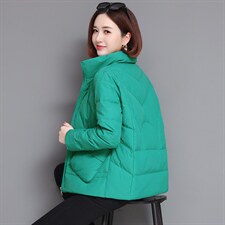 2022新款简约时尚立领棉服休闲百搭显瘦保暖外套，女装棉衣/棉服，婷思杰（原婷想服饰）