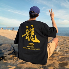 直播供货2025夏装新款纯棉印花短袖T恤A158-T2426-P18特价控28，男装T恤，电商A158