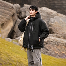 311B-1-YZ-9233-P195控339大码潮牌提花情侣百搭立领羽绒服，男装羽绒服，星座311B-1