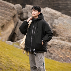 311B-1-YZ-9233-P195控339大码潮牌提花情侣百搭立领羽绒服图片