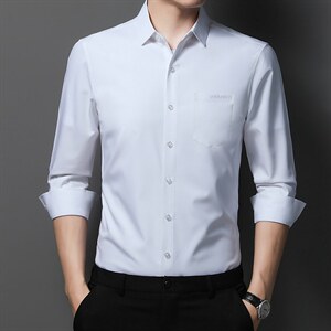 男式服装春秋季新款衬衫男长袖翻领休闲四季可穿衬衣 XY2208-P60图片