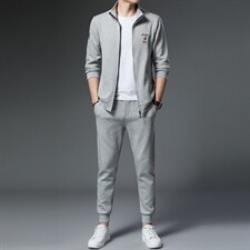 2023秋季新款男装中年男士商务休闲套装长袖立领卫衣薄款两件套，男装休闲套装，电商B212（原钱塘6029）