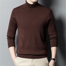 CA906037钱塘2020-2秋冬季厚款商务休闲时尚中年男士羊毛衫P170，男装针织衫/毛衣，钱塘207-2