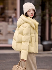 短款连帽立领羽绒服女冬2025新款韩版休闲小个子90白鸭绒加厚保暖，女装羽绒服，辉之琳