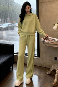 女秋季网红炸街时尚运动套装盐系穿搭纯色连帽卫衣阔腿长裤两件套图片
