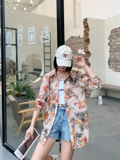 花衬衣，其它，红嘴鸥