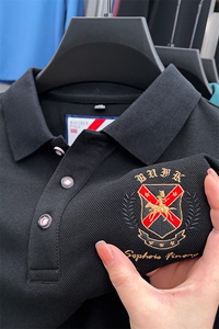 时尚保罗polo衫男士长袖t恤春秋季衣服商务刺绣翻领上衣休闲打底T图片