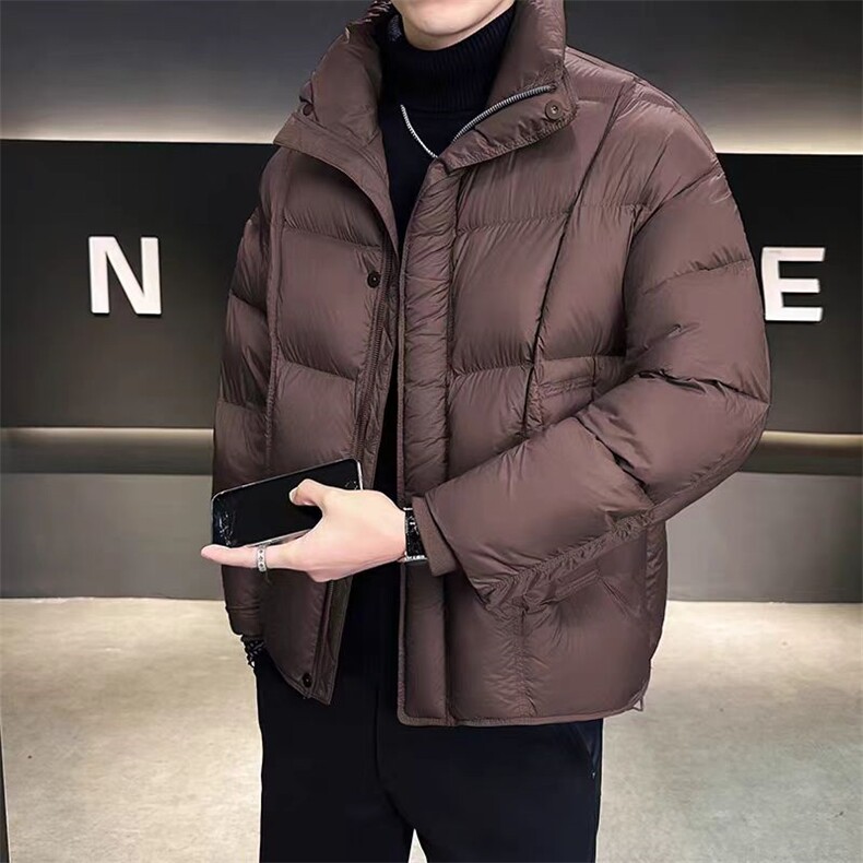 (网图)立领羽绒泡芙羽绒服休闲高端潮流白鸭绒313B-A5816-P210,男装羽绒服,星座313B