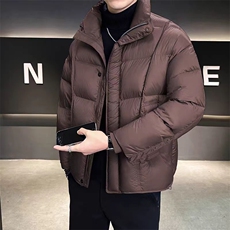 (网图)立领羽绒泡芙羽绒服休闲高端潮流白鸭绒313B-A5816-P210，男装羽绒服，星座313B