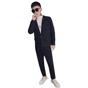 春款社会风小伙休闲商务条纹修身西服西装两件套装D969-P165控205图片