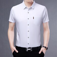 夏季男士商务休闲衬衫短袖上衣免烫中年衬衫纯色衬衣男高质量男装，男装衬衫，电商B212（原钱塘6029）